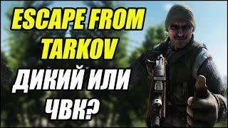 Escape From Tarkov: Как отличить ДИКОГО от ЧВК?