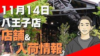 11月14日臨時店内&入荷情報を配信していきます