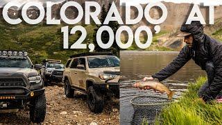 OVERLAND ALPINE FISHING in Colorado - WEEKENDERLANDER EP 31 - Toyota Tacomas and 4Runner Camping