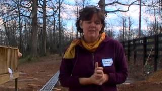 The Nashville Project: "Low Power to the People"
