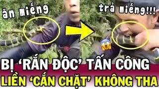 Bị RẮN CẠP NIA cắn lúc vào rừng, thanh niên liều mạng CẮN TRẢ khiến CĐM kinh hãi | Tin Việt Độc Lạ