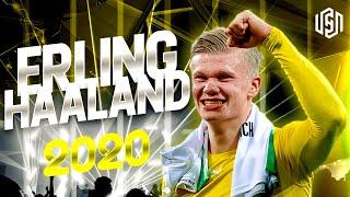 Erling Haaland 2020 - The Perfect Striker - Skills & Goals | HD