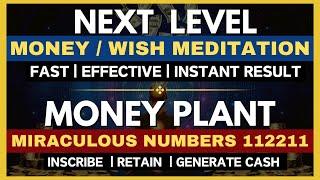 Money Plant Miraculous Numbers 112211 | Next Level  Money / Wish Meditation | Download Will Not Work