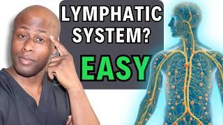 What is The Lymphatic System | Simple Explanation