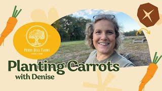 PLANTING Carrots