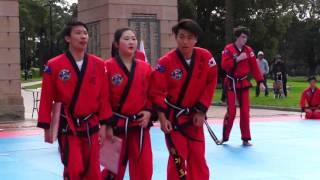 Martial Arts - Hapkido College of Australia Eagles Burwood Park Demonstration