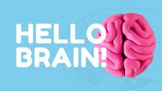 NEW FREE EXHIBITION IN LONDON | HELLO BRAIN!