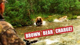 Fred Eichler Brown Bear Charge.......The Full Story