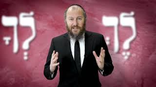 Calibration" Lech Lecha 5785. Weekly Torah Short with Rabbi Asher Altshul