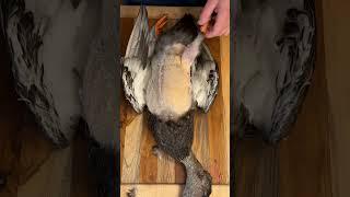 Wild Duck Catch & Cook!  #healthy #food #love #shorts #explore