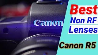 Canon EOS R5- Best Non RF Lenses for Canon R5 R6