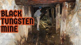 Black Tungsten Mine and Historic Nevada Town Site Explore