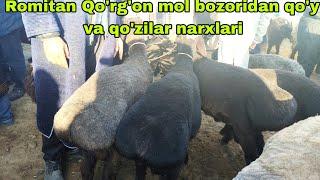 Qo'gon mol bozori qo'y va qo'zilar narxlari   4-aprel, 2024