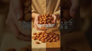 견과류 다이어트의 진실! 건강에 좋지만 놓치면 안 되는 3가지 주의사항
