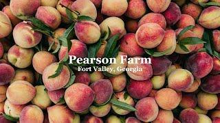 Pearson Farm Peaches | Tree-Ripe Fruit Co.