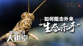 为何“生物移民”令人谈之色变？如何抵御外来生物引发的生态灾难？「中国经济大讲堂」 20220410 | CCTV财经