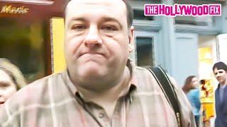 James Gandolfini Aka 'Tony Soprano' Attacks Paparazzi For Filming Him Trick Or Treating With His Son