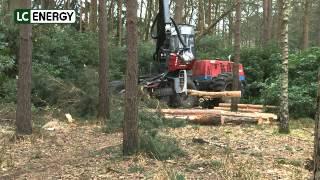 LC Energy Woodland Management with Richard Edwards