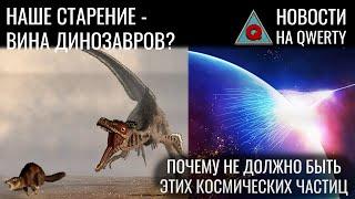 Как динозавры испортили нам жизнь. Тайна «божественных» частиц. Длинный иллиций. Новости QWERTY №283