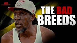 THE BAD BREEDS - JAMAICAN MOVIE ALTON GORDON ORIGINALS