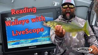 Reading Walleye with LiveScope