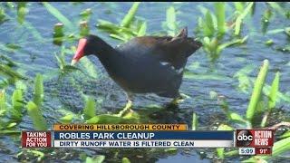 Tampa Heights project aims to clean water runoff