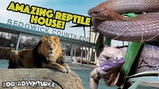 AMAZING REPTILE HOUSE at the Sedgwick County Zoo!