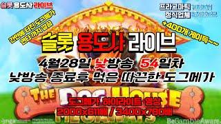 [슬롯] 슬롯용도사 [54일차] 4월28일 낮방송 종료 후 먹은 도그메가 하이라이트 영상 #game #slot #슬롯 #슬롯용도사