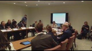 Event: Effective Development Co-operation and the UN 2030 Agenda: Part 1 of 2