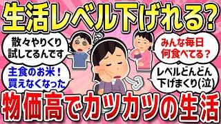 【有益スレ】物価高で結構辛い毎日ですね。どのくらい生活レベル落としましたか？【ガルちゃんまとめ】