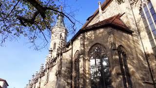 Amanduskirche in Bad Urach: Sonntagsglocken im Oktober 2022