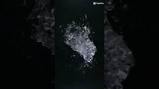 Mr Saad video