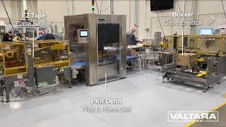 EndFlex Case Packing System with PKR Delta Robot for Bags