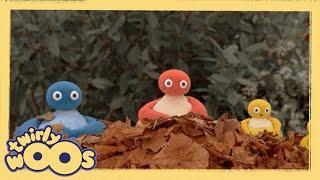 Pulling | Twirlywoos | Videos for Kids