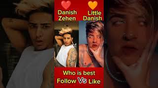 New Danish Zehen vs Little Danish