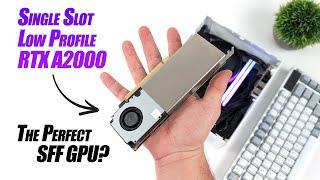 Single Slot Low Profile RTX A2000! The Perfect Small Foot Print GPU