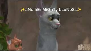 • Here comes Bluestar • (animation by little dragon studios )