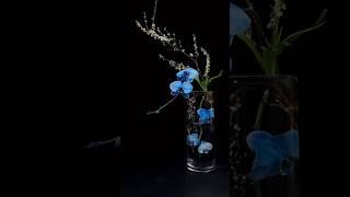Orchid  is elegance, nobility, patriotism and perseverance. He is the Gentleman of Flowers.