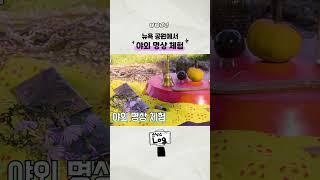 뉴욕 공원에서 야외명상하는 스님