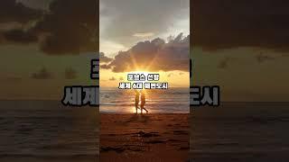한국사람이 가기 좋은 베트남 여행지 TOP 5 #shorts #여행 #travel #베트남 #vietnam #한국인 #korean