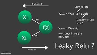 Dying Relu Problem || Leaky Relu || Quick Explained || Developers Hutt