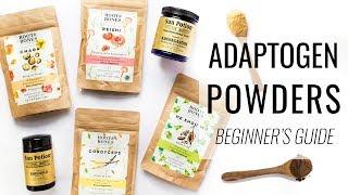 BEGINNER'S GUIDE TO ADAPTOGENS | reduce stress, boost immunity & more