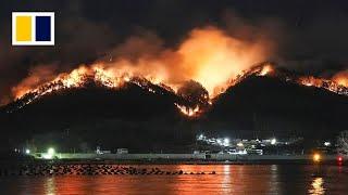 Japan fights its biggest wildfire in decades