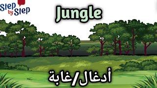 نطق كلمة Jungle أدغال / غابة ️