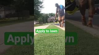 How to Apply Fertilizer #diy  #yardmastery