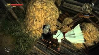 The Witcher 2 - Assassin's Creed Easter Egg