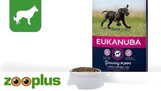 Puppy Dry Dog Food | Eukanuba | zooplus.co.uk