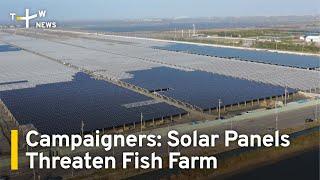 Campaigners Say Solar Panels Threaten Fish Farm Ecosystems | TaiwanPlus News