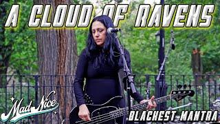 A Cloud Of Ravens - Blackest Mantra | Live October 4, 2024 | (MadNiceTV)