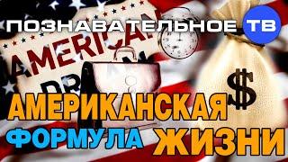 Американская формула жизни (Познавательное ТВ, Нидас Ундровинас)